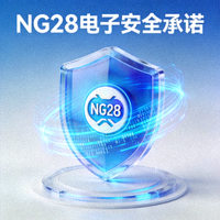 NG28电子安全承诺视觉图 - 数字化盾牌保护着游戏客户端图标